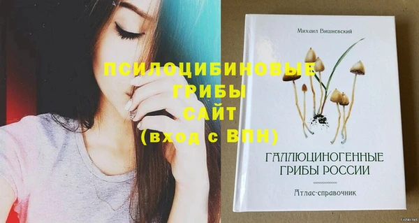 прущие крисы Алексин