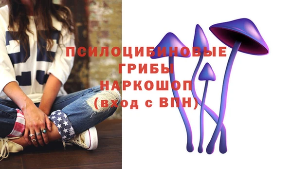 прущие крисы Алексин