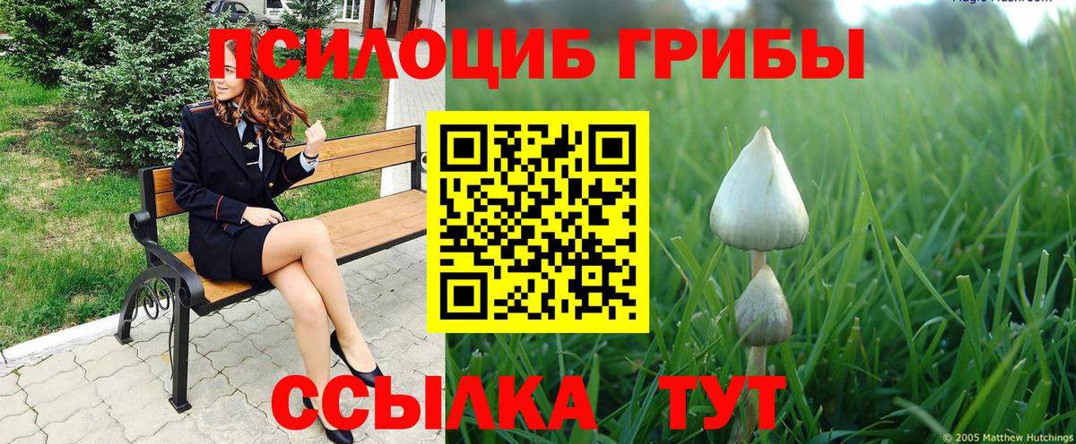 даркнет сайт  Вход с VPN  Ливны  Галлюциногенные грибы мухоморы  Псилоцибиновые грибы мицелий 