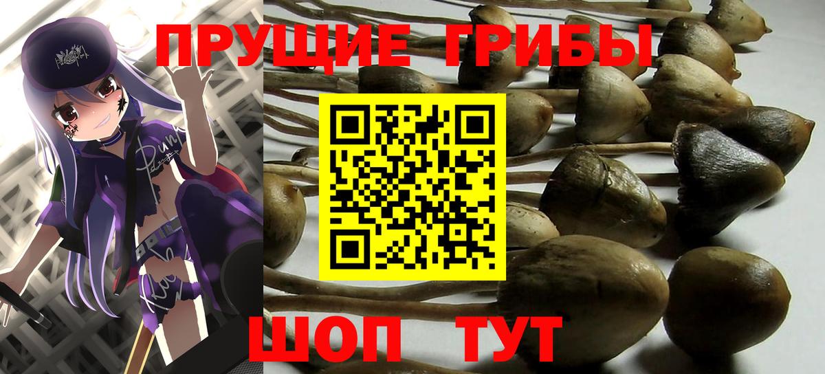 Галлюциногенные грибы прущие грибы Ливны